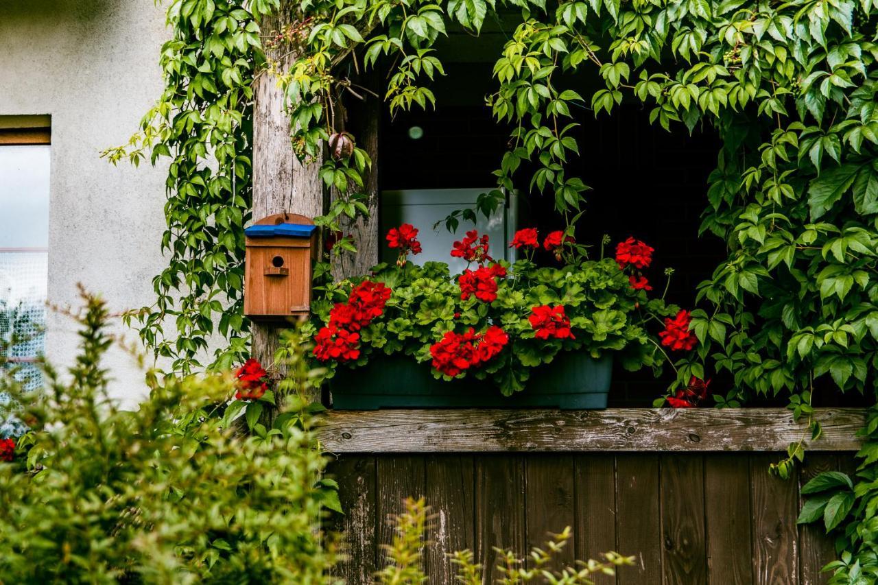Lesna Zagroda Farm stay