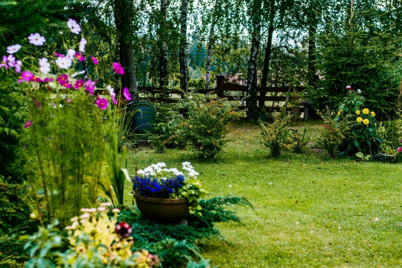 Lesna Zagroda Farm stay Parchowo